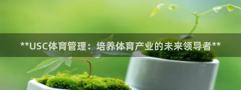 Bsport体育必一