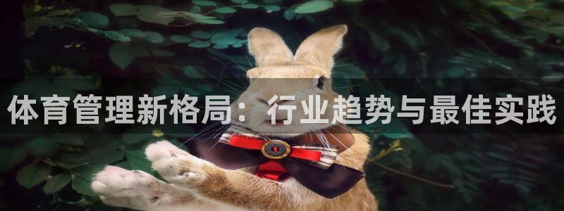 必一体育最新官网入口首页