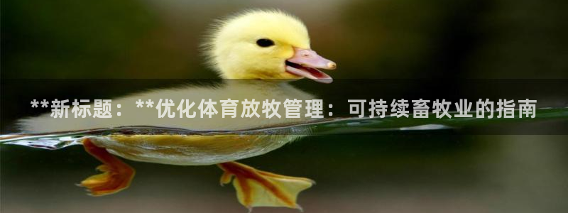 必一体育bsport