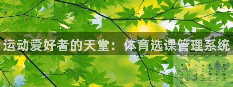 必一体育官方app下载