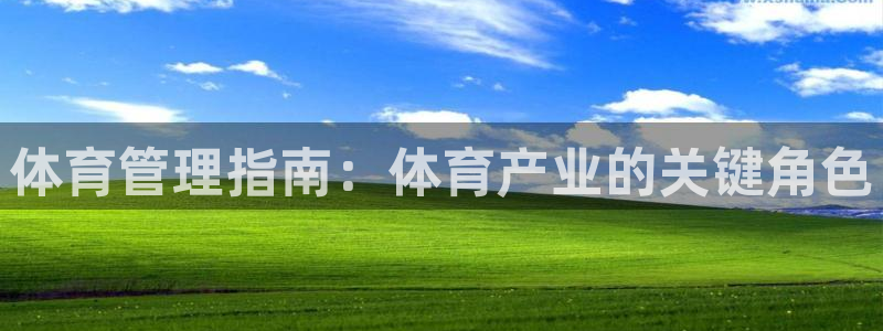 必一体育登入