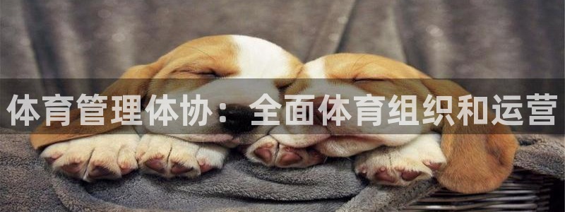 必一体育手机下载：体