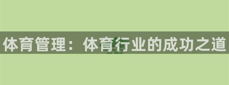必一体育电子app