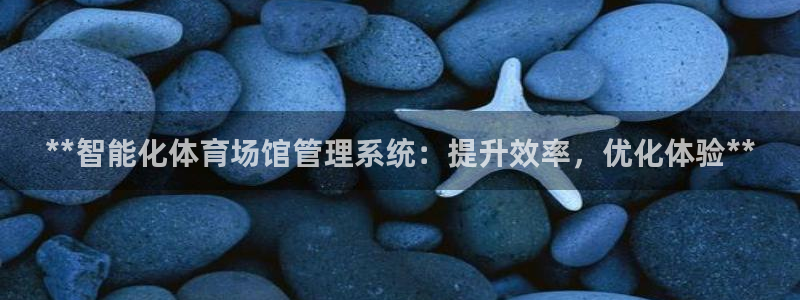 必一体育sport官