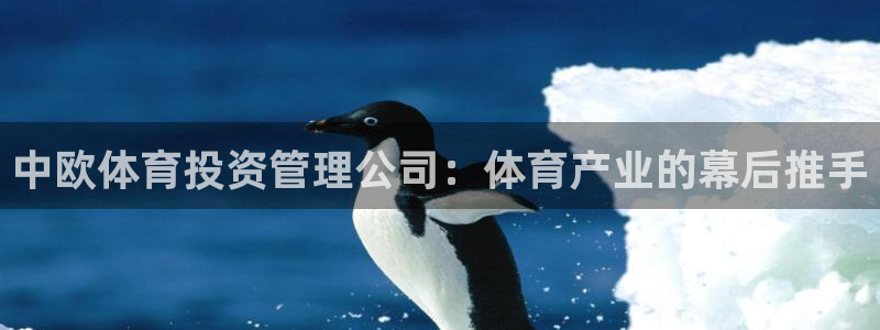 必一体育游戏特色