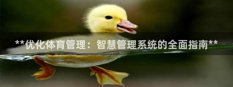必一运动 b 体育素