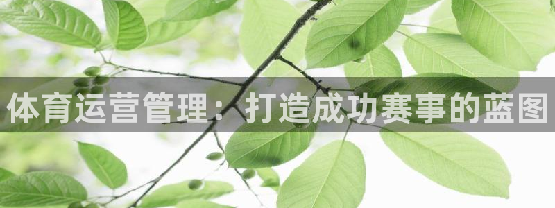 必一运动·(B-sp