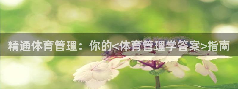 必一体育官网网站