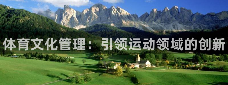 必一体育sport下