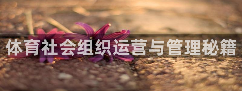 必一运动官网入口
