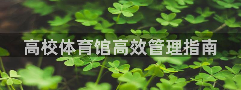 必一体育在线官网：高