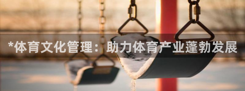 必一体育服下载最新版本更新内容