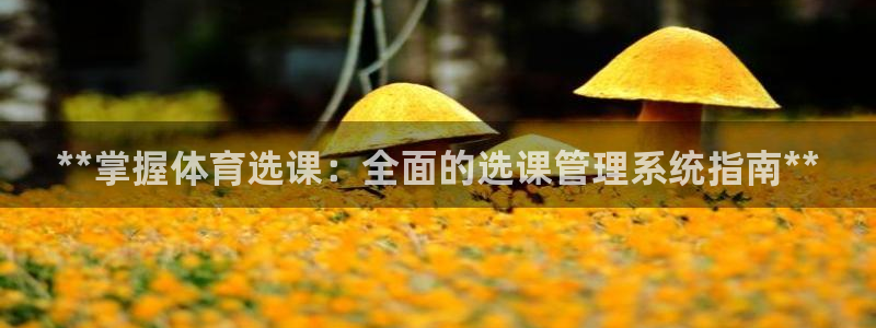 必一体育网站：**掌
