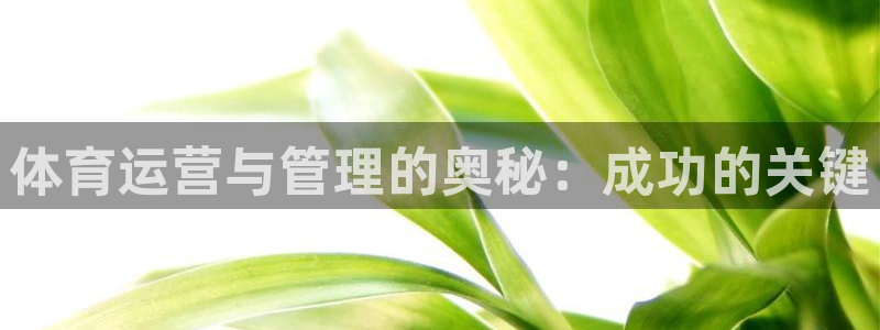 必一体育秀给网：体育
