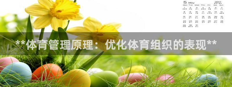 必一体育在线官网：*