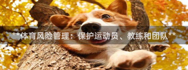 必一运动bsport
