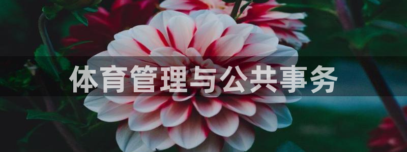 必一体育sport官网