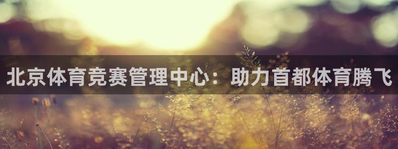 必一体育下载登入