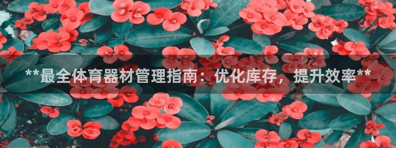 必一体育app下载