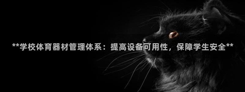 必一体育官网ios下
