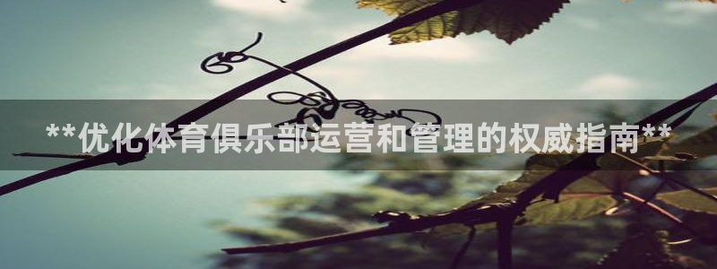 b体育官网下载入口a