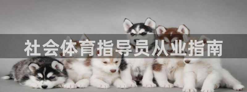 必一运动sport爱查股