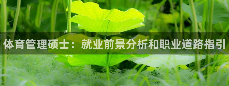 必一运动sport网页版