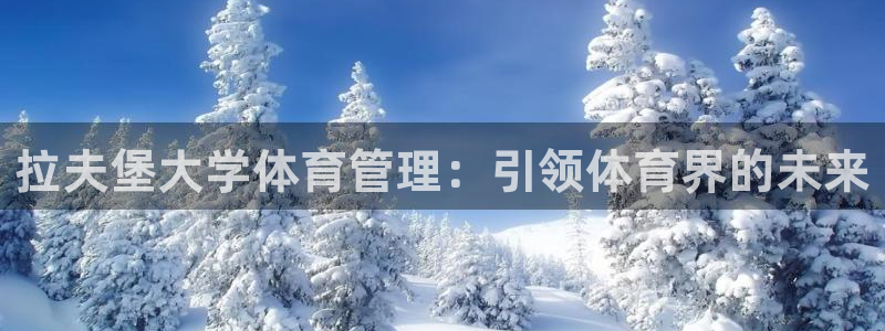 必一体育sport网页版