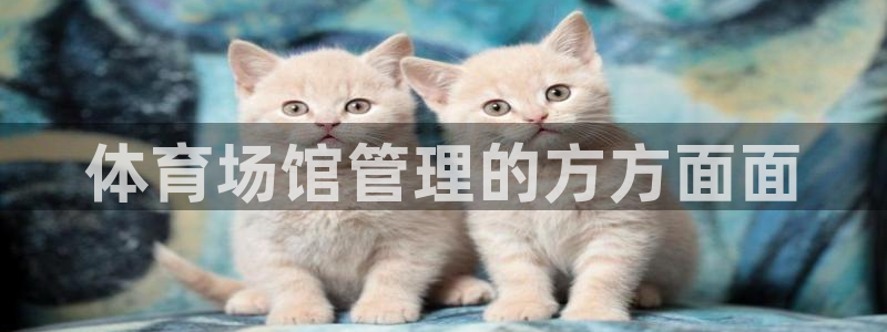 必一运动短信