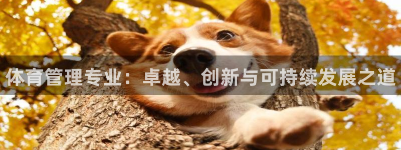 必一体育登陆：体育管