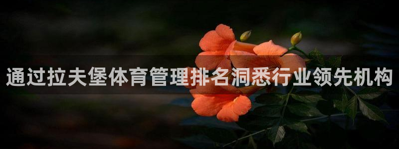 必一运动体