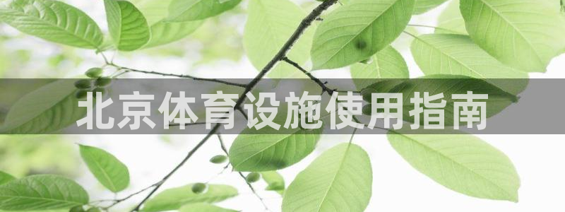 必一体育在哪下