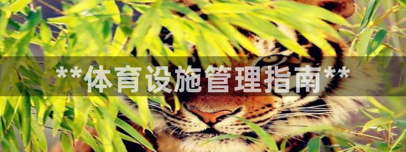 必一体育在线官网