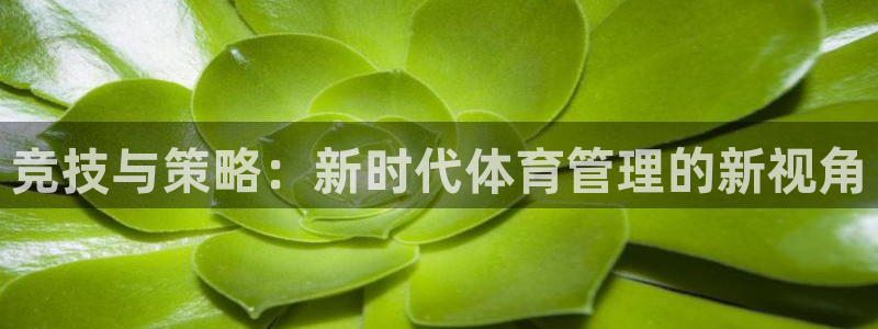 必一体育sport网