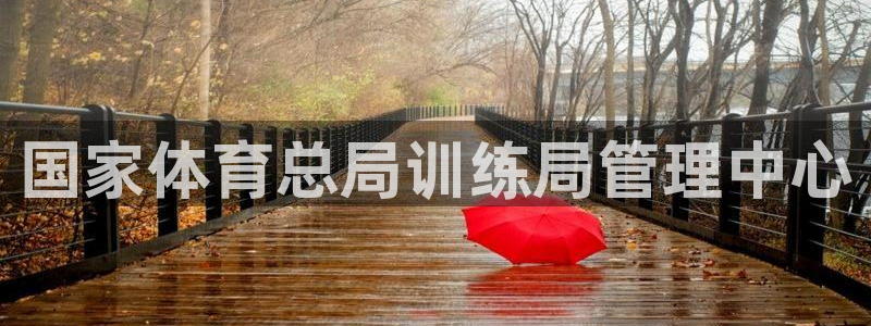 必一体育在哪下