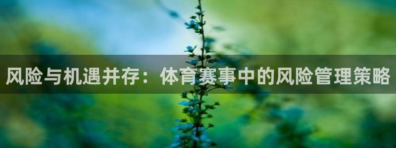 必一体育运动app：