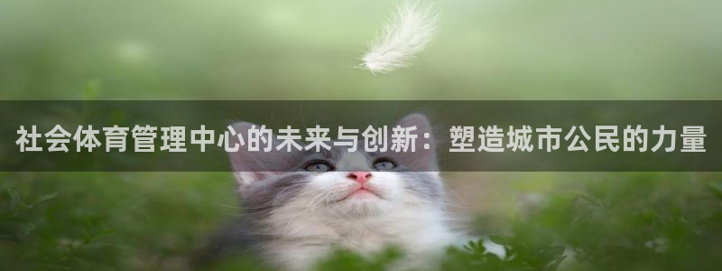 必一体育sport网页版：社会体育管理中心的未来与创新：塑造