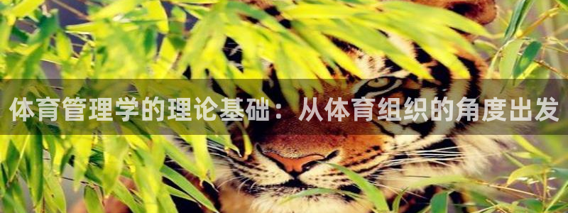 必一体育下载意思：体育管理学的理论基础：从体育组织的角度出发