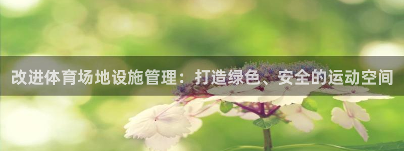 b体育必一运动网页版