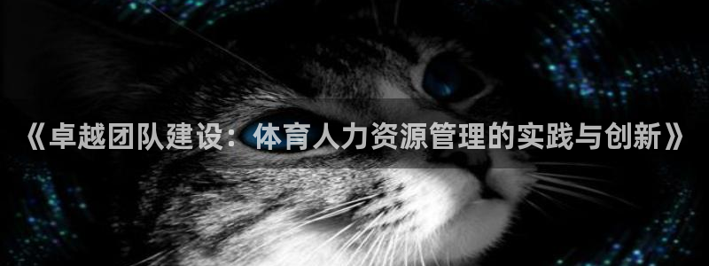 必一运动体育：《卓越