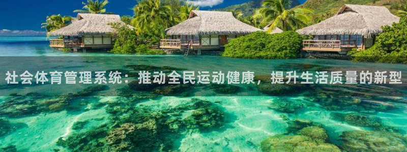必一体育手机下载：社