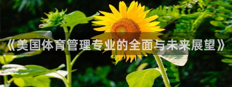 必一运动bsport