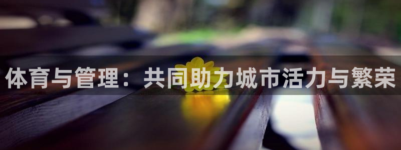 必一体育官方下载：体