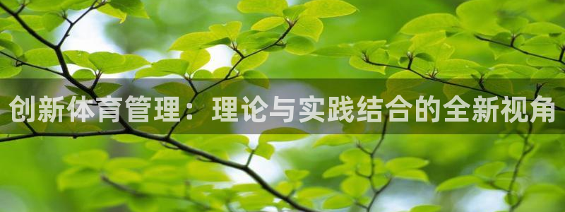 必一体育网站：创新体