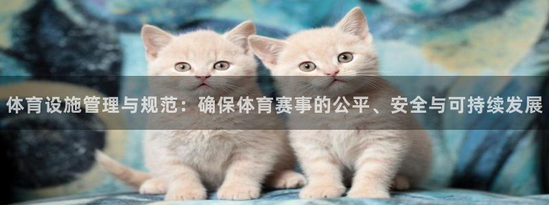 必一体育手机下载：体