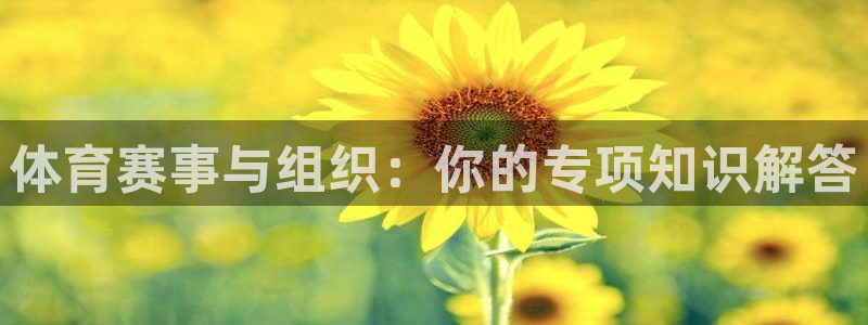 b体育必一下载：体育