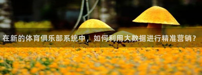 必一体育在线入口：在新的体育俱乐部系统中，如何利用大数据进行
