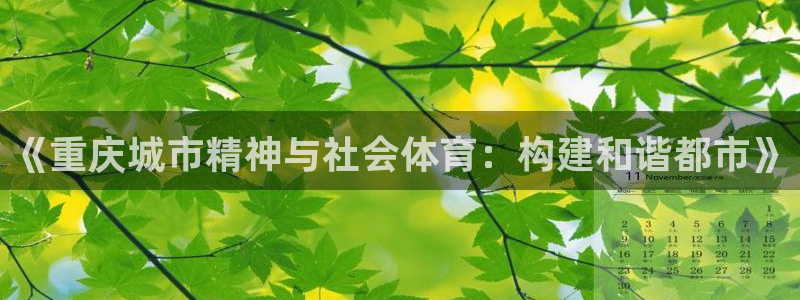 必一运动sport网