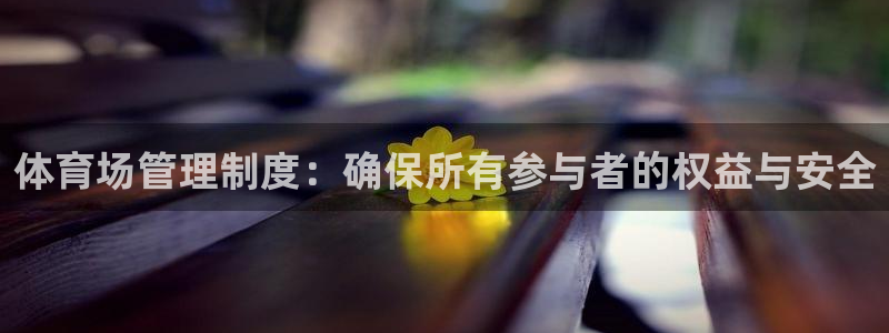 必一体育运动app下