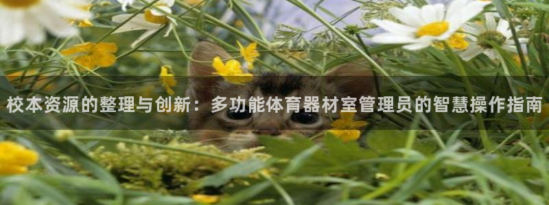 必一运动·(B-Sp